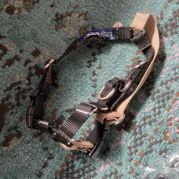 Puppy Starter Kit (dog not included) - Picture 5 of 6